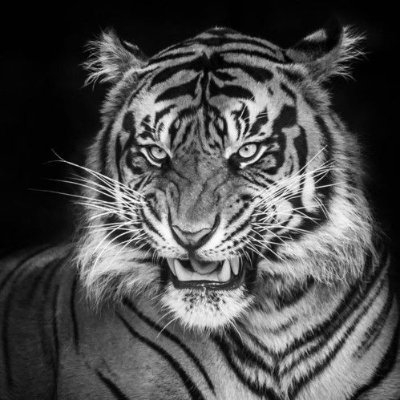 Hart_Japan3's profile picture. 自民党支持者でしたが岸田元総理あたりから情けない自民党に見切りをつけるか思案中。自民党保守現実派を応援し憲法改正推進、富国強兵と徴兵制導入を主張しています。今は難病で身体が麻痺し働けない障碍者になってしまいました。元警視庁本庁刑事部捜査一課に長年所属。今では只の障碍を持った厄介者の爺です。高市早苗氏を一択応援