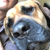 Enar (@enar3andersson) 's Twitter Profile