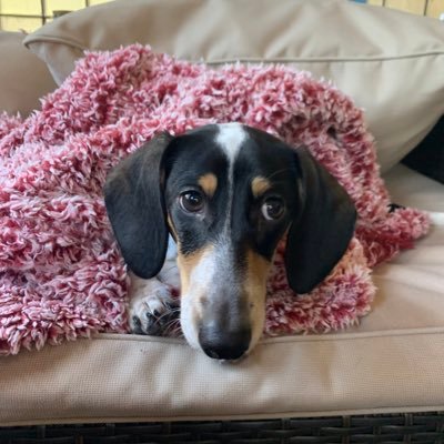 XxLovely1's profile picture. 