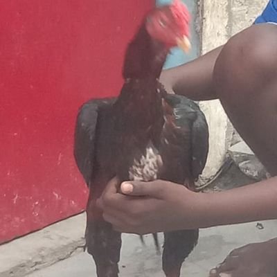 PKS13962648's profile picture. hi