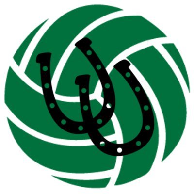 AHSLadyColtVB's profile picture. We are ready to Protect Our House in 2020!  11 returners!  It&#039;s going to be another exciting year in Colt Country