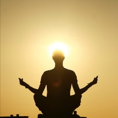 chimo787's profile picture. Sky Surfer