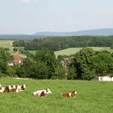 CAseptfcb's profile picture. Responsable pôle animation territoriale en santé ASEPT FC-B  #PromotionSante #ISTS #Prevention #SantePublique #Territoires