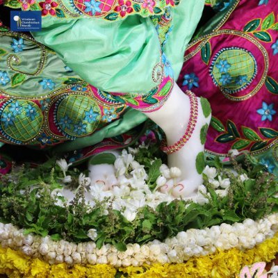 Monikas39558320's profile picture. 