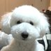 ☆LEO☆ (@leo_hirarin) Twitter profile photo ☆LEO☆ (@leo_hirarin) Twitter profile photo