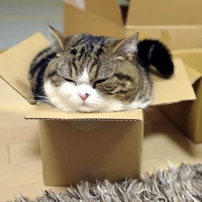 Adam_lumen's profile picture. 