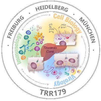 We are a consortium focused on #hepatitis #research, #virology, #immunology and #cell biology  - unique in Germany; funded by the #DFG