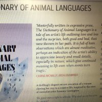 Carina McNally (@mcnallycarina) 's Twitter Profile Photo Carina McNally (@mcnallycarina) 's Twitter Profile Photo