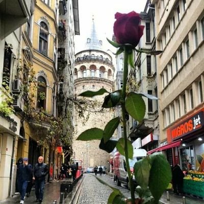 CecilyMustafa's profile picture. merhaba ben mustafa modecıyım