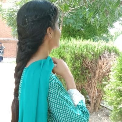 RabiaNasir31's profile picture. 