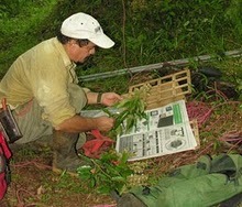 Naturalista, en los últimos 20 años me he dedicado a la Botánica, y estudios los bosques de la Península de Osa, Costa Rica.