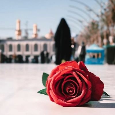 sabah_irshad's profile picture. 