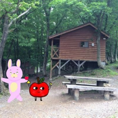 しんりょく🌱さんのプロフィール画像