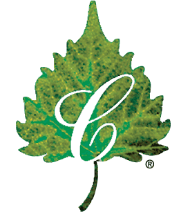 ChateauOTL's profile picture. An elegant 4-Diamond Hotel, Spa and Convention Center in the Ozarks where excitement reigns, service rules and your wishes come true.