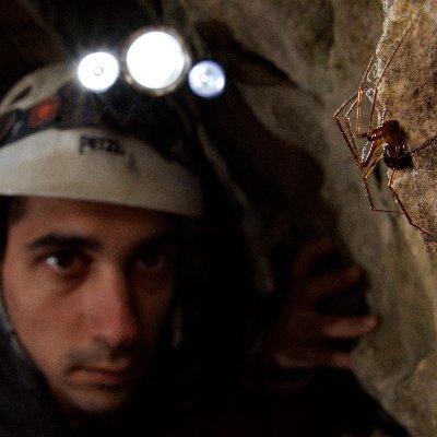 Researcher in ecology / subterranean biology at @MEG_Verbania (@cnr_irsa). I like spiders, chess, caving, trail running, and other stuff—in random order.