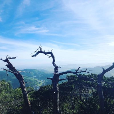 Kuma_Toshi73's profile picture. 山用アカウント△2020/5月から山登りスタート ✧有名な山はYouTubeや写真で楽しんでおります△フォローありがとうございます♡ どんぐり🌰大好き♥️でもなかなか覚えられない🫣