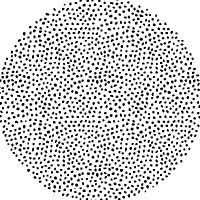 Singular. (@singular__) 's Twitter Profile