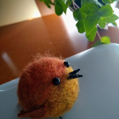 みんじろうさんのプロフィール画像