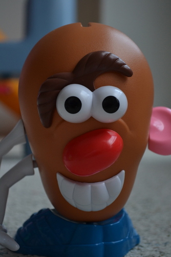 Mokotalex's profile picture. LeicaM9で写真を撮り続けていたい。でもメインは5Dmark3。今はどちらも売却してEOS R5とα7C