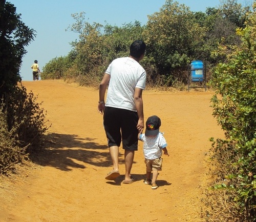 chejaras's profile picture. 