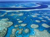 barrier_reef_au's profile picture. Raising awareness of the dangers that threaten the Great Barrier Reef due to global warming and oceanic changes - Ecotourism info -  Reef News