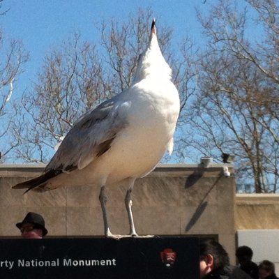 nirb_nirb's profile picture. VRCに釣られてツイッター始めた海外勢のナーブです。どんな日本語でも教えてください特に教科書にのってないやつ