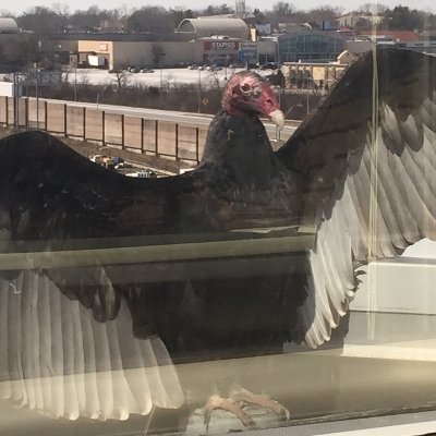 BorthMJ2's profile picture. 