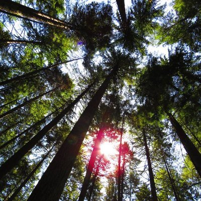 sophie_pawlo's profile picture. La tête dans les neurones