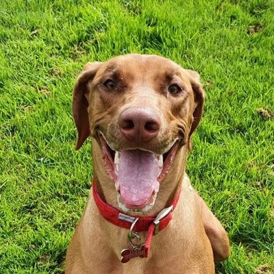 thejackel59's profile picture. 