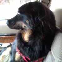 Clark(@Hundpappa) 's Twitter Profile Photo