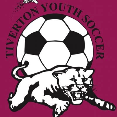 tivertonysoccer's profile picture. 