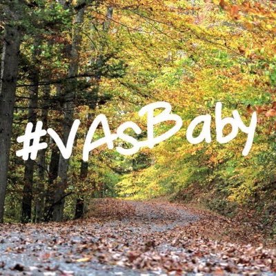 VA's youngest county #VAsBaby Grassroots pics/info/discussion #DickensonCo #BreaksPark #RussellForkRiver #BirchKnob #HaysiRidgeviewTrail #coal RTdoesnt=endorse