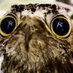 Wulfsethen 🇺🇦🦋 (@wulfsethen) Twitter profile photo Wulfsethen 🇺🇦🦋 (@wulfsethen) Twitter profile photo