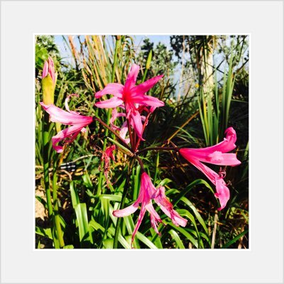I make ambient music, part of Distorted HiFi collective.