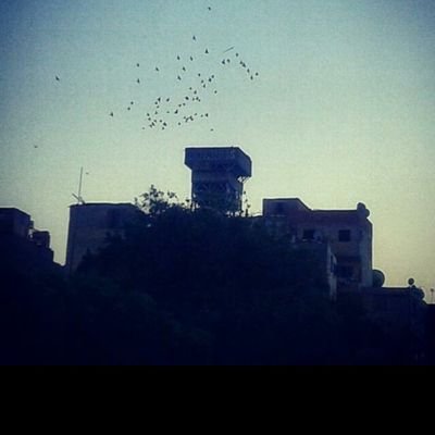 MahdyAhmed14's profile picture. ً