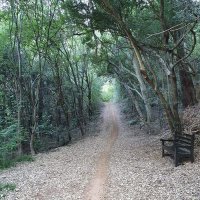 The Poems community (@poemsandlyrics_) 's Twitter Profile Photo