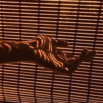 marcozigonzalez's profile picture. (GI) 623070033