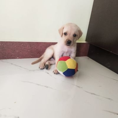 PRASANN75887960's profile picture. be happy