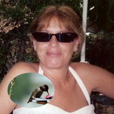 HummingbirdPass Profile Picture