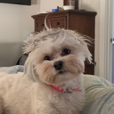 Warren_Bruh's profile picture. Bagholder