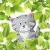 Viviendo en el arbusto (@enarbusto) Twitter profile photo Viviendo en el arbusto (@enarbusto) Twitter profile photo