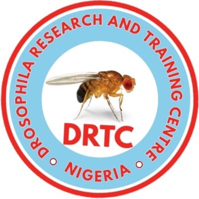 Drosophila Research and Training in Africa For Scientific Advancement.
Email: info@drosophilartc.org