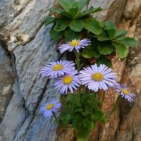 baki arık (@bakiark5) Twitter profile photo