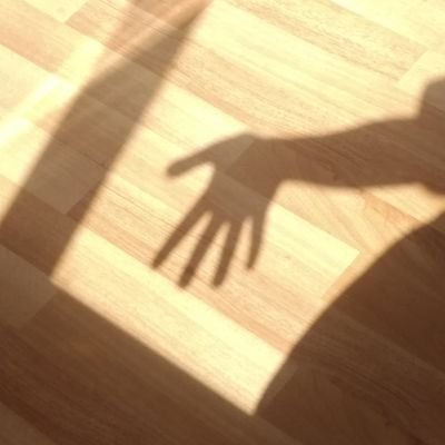 zejava's profile picture. 