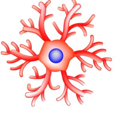 Laboratory focus:genetic modifiers of AD identified from mouse and human studies; animal models of AD;TBI as an environmental modifier for the development of AD