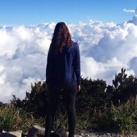 Elaine (@elaine_blue96) 's Twitter Profile