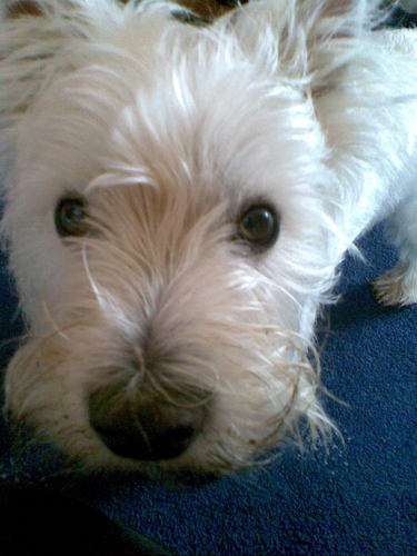 lynn3161's profile picture. 