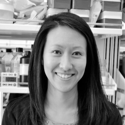 Asst prof @VCU_BME @vcumassey | studying #Mechanobiology #IVDbiology #TumorMicroenvironment #CellMigration #Microfluidics #LabOnAChip | #womeninSTEM advocate