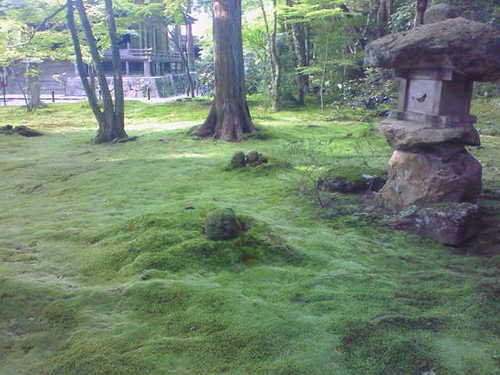 alias_wavefront's profile picture. 