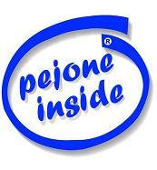 www.pejone.it